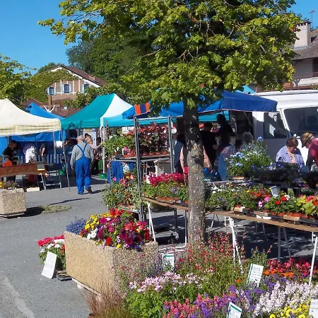 Marcus Castelnau-Magnoac