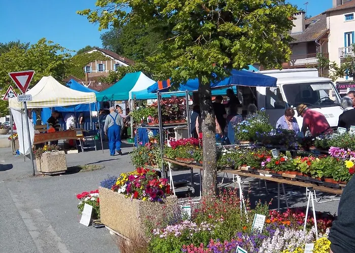 Marcus Castelnau-Magnoac